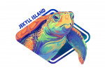Jekyll Island, Georgia - Vivid - Sea Turtle - Contour
