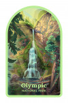 Olympic National Park- Marymere Falls - Lithograph - Contour