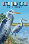 Hilton Head Island, South Carolina - Blue Herons