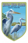 Hilton Head Island, South Carolina - Blue Herons - Contour