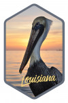 Louisiana - Photography - Pelican - Contour