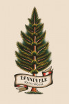 Banner Elk, North Carolina - American Traditional - Evergreen
