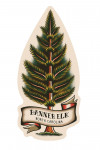 Banner Elk, North Carolina - American Traditional - Evergreen - Contour