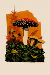 Retro Print Collage - Mushrooms