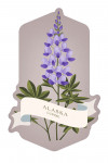 Alaska - Vintage Flora - Lupine - Contour