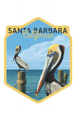 Santa Barbara, California - Painterly - Brown Pelicans - Contour
