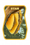 Utah - Painterly - The Beehive State - Contour