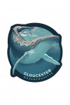 Gloucester, Massachusetts - Lithograph - Humpback Whale - Contour