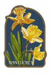 Nantucket - Letterpress - Daffodils - Contour