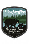 Mammoth Lakes, California - Black Bear & Cub with Snow - Adventure Awaits - Contour