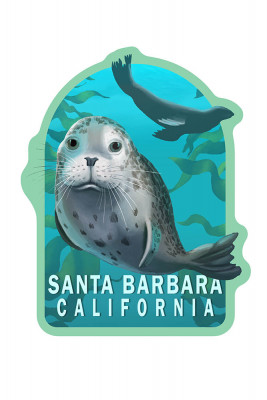Santa Barbara, California - Harbor Seals - Contour