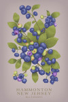 Hammonton, New Jersey - Vintage Flora - Blueberry