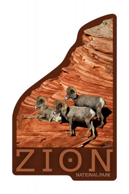 Zion National Park, Utah - Photography by RJ Hooper - Bighorn - Contour