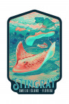 Amelia Island, Florida - Fluid Linework - Stingray - Contour