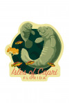 Isles of Capri, Florida - Manatee & Calf Swimming - Contour