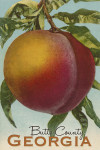 Butts County, Georgia - Georgia Peach - Vintage Lithograph
