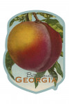 Butts County, Georgia - Georgia Peach - Vintage Lithograph - Contour