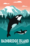 Bainbridge Island, Washington - Orca Whale and Calf - Vector