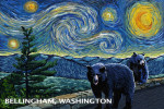 Bellingham, Washington - Starry Night - Black Bears