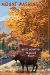 Mount Washington, New Hampshire - Scenic Byway & Moose