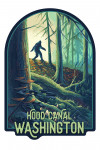 Hood Canal, Washington - Get Outside Series - Wanderer - Bigfoot in Forest - Contour