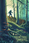 Pigeon Forge, Tennessee - Get Outside Series - Hide & Seek - Wanderer - Bigfoot in Forest