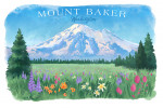 Mount Baker, Washington - Watercolor Study - Botanical Baker