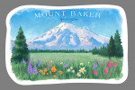 Mount Baker, Washington - Watercolor Study - Botanical Baker - Contour