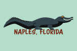 Naples, Florida - Geometric - Alligator