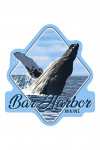 Bar Harbor, Maine - Humpback Whale - Contour