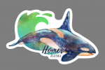 Homer, Alaska - Watercolor - Orca - Contour