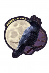 Homer, Alaska - Raven and Moon at Night - Contour
