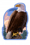 Painterly - Bald Eagle - Contour