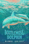 Wildwood, New Jersey - Fluid Linework - Bottlenose Dolphin