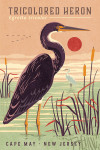 Cape May, New Jersey - Shorebirds at Sunset Collection - Tricolored Heron