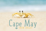 Cape May, New Jersey - Photography - Crab on Beach