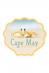 Cape May, New Jersey - Photography - Crab on Beach - Contour