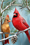 Vermont - Cardinals - Winter
