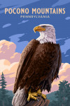 Pennsylvania - Painterly - Pocono Mountains - Bald Eagle
