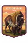 Antelope Island, Utah - Lithograph Wildlife Series - Bison - Contour