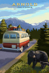 Arnold, California - Camper Van & Wildlife