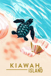 Kiawah Island, South Carolina - Courageous Explorer Collection - Turtle and Shells, Safely to Sea