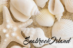 Seabrook Island, South Carolina - Photography - Starfish & Shells