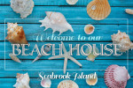 Seabrook Island, South Carolina - Photography - Welcome to Our Beach House - Seashells