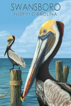 Swansboro, North Carolina - Pelicans