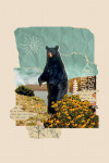 Retro Collage - Black Bear