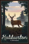Haliburton, Canada - Painterly - Deer & Sunrise