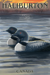 Haliburton, Canada - Loons at Sunset