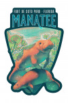 Fort De Soto Park, Florida - Fluid Linework - Manatee - Contour