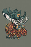 Woodstock, Vermont - Ski Moose